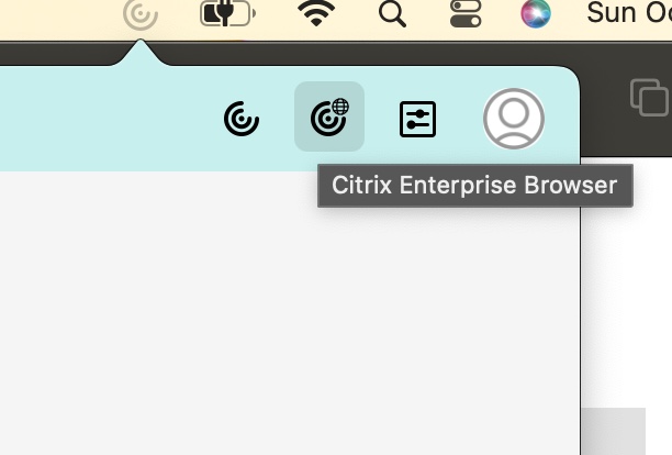Launch Citrix Enterprise Browser from Apple menu bar