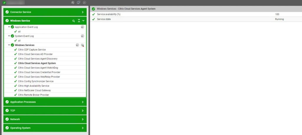 Citrix Cloud Connector Windows Services