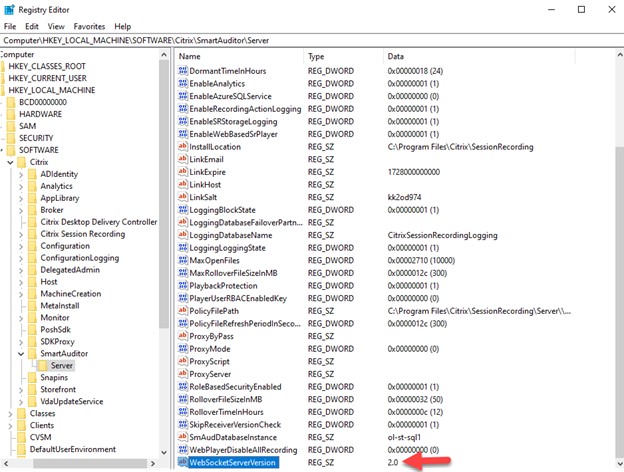 Registry Editor showing the WebSocketServerVersion.